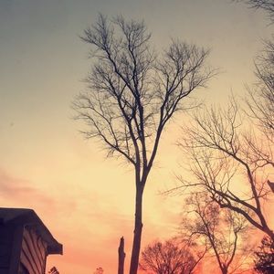 Meet your Posher, Jocelyn